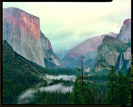 Yosemite_Fog_20200226_021_Reduced