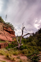 20130703_H1N5993_5994_5995_HDR