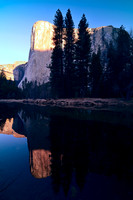 Yosemite February Field Trip
