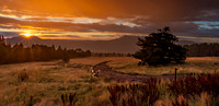 20140918-_H1N5042
