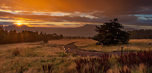 20140918-_H1N5042
