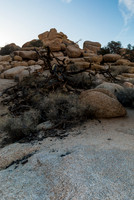 Joshua Tree NP 20150306