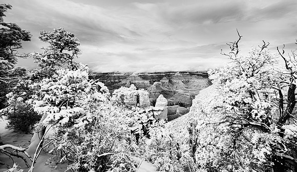 _SA_2461IRBW