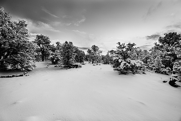 _SA_2437_IRBW