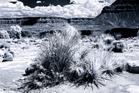 _BD29195_Working_20180917_OZ_2_KANSAS_SEP_BW_V1 Infrared BW image from Toroweep Overlook Arizona.  Shot with Canon 5DMKIII converted to full spectrum with 720nm IR filter.