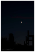 20121017_H1N3845_Crescent Moon