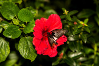 20141227-IMG_0615