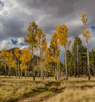 20141019-IMG_2036_HDR