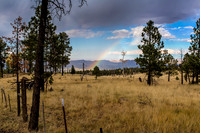 20141019-IMG_2086_HDR