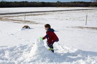20180108-_BD18953