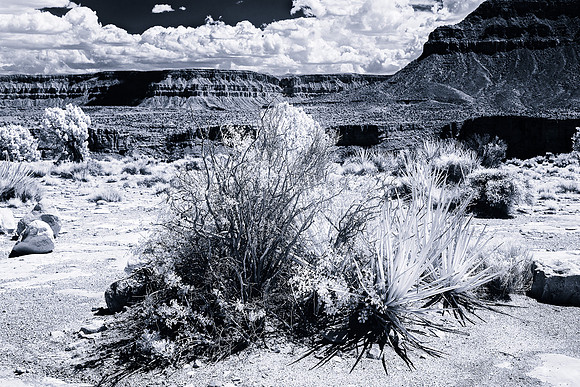 _BD29195_Working_20180917_OZ_2_KANSAS_SEP_BW_V1 Infrared BW image from Toroweep Overlook Arizona.  Shot with Canon 5DMKIII converted to full spectrum with 720nm IR filter.