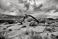 _BD29230-Edit