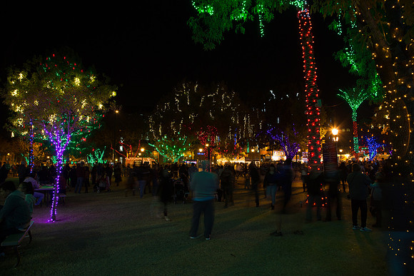 20151128-_BD28646