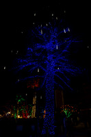 20151128-_BD28641