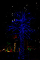 20151128-_BD28640