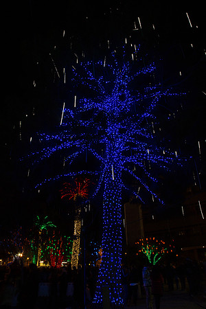 20151128-_BD28640