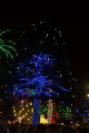 20151128-_BD28639