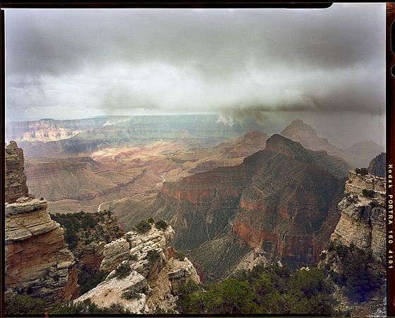 20190731_0351_Master_202001011_Extachrome_Auto_Reduced_Sharpened