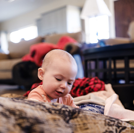 _DSF0048